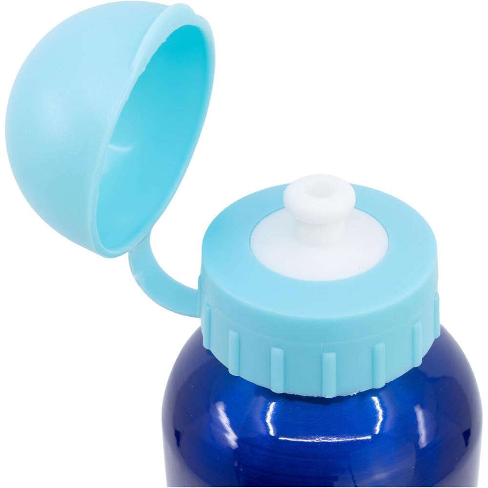 Botella Aluminio Alta 530 ML Stitch Palms 2/3