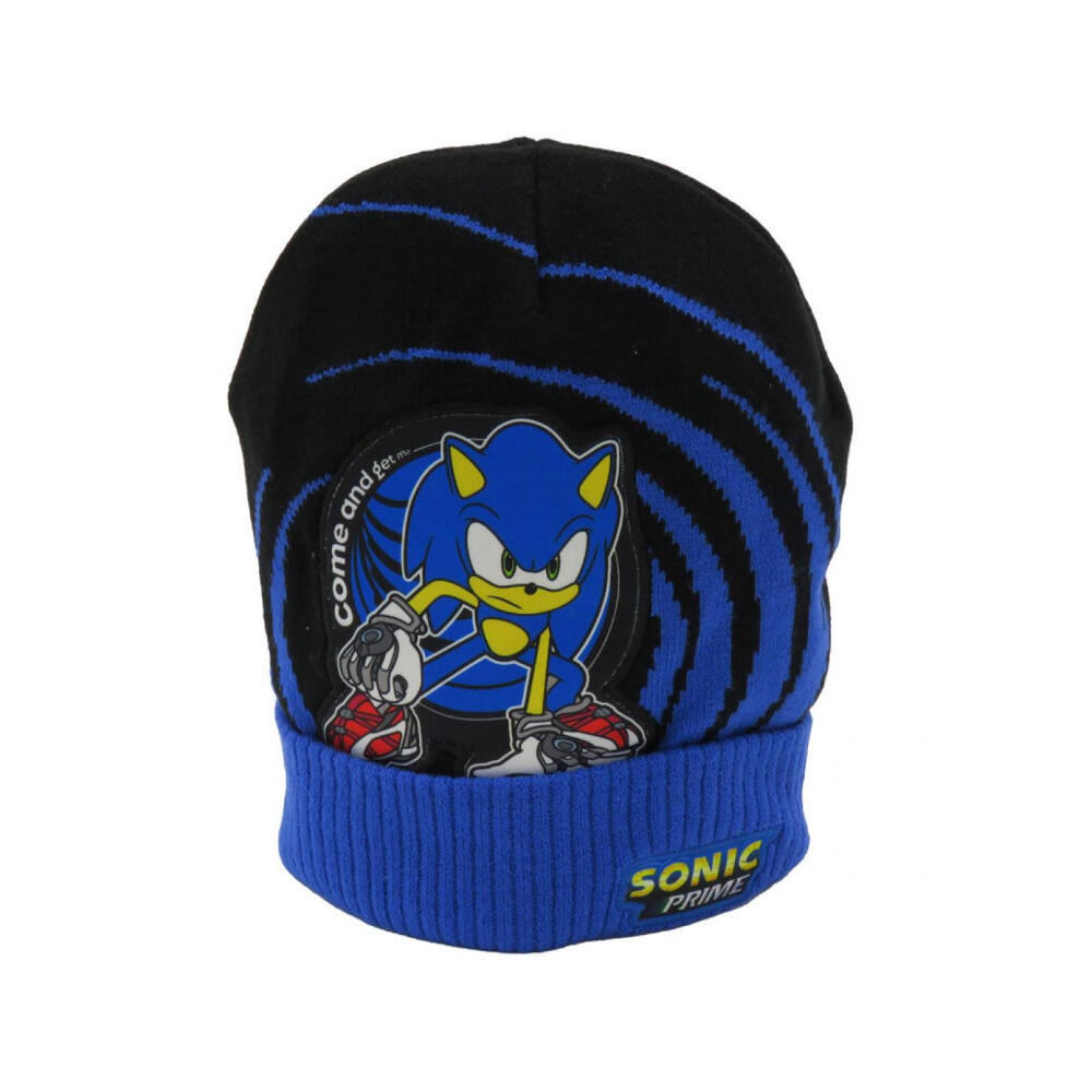 SONIC THE HEDGEHOG picture