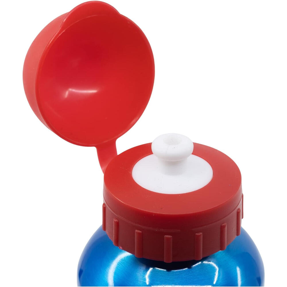 Botella de Aluminio Sonic The Hedgehog 530 ML 3/3