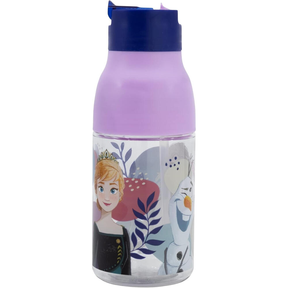 DISNEY FROZEN picture
