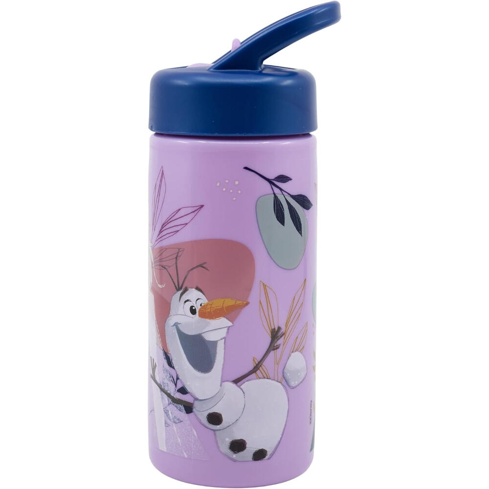 DISNEY FROZEN picture