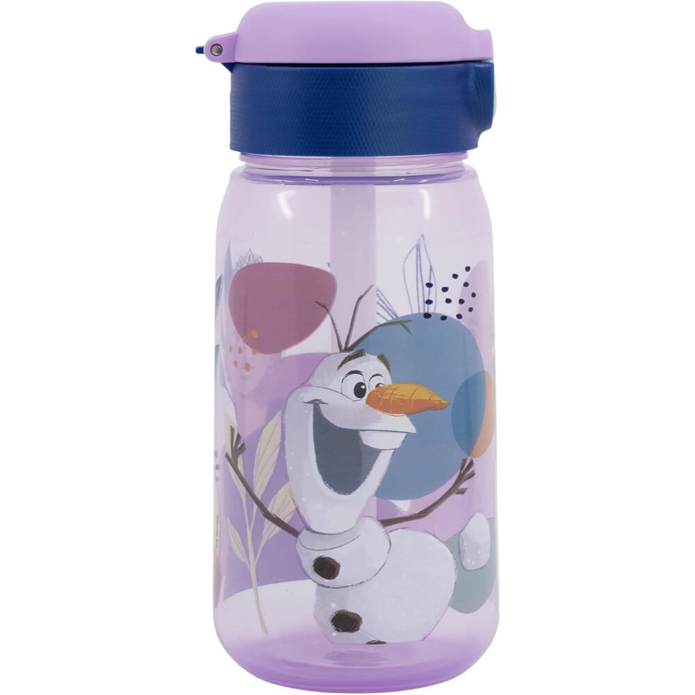 DISNEY FROZEN picture