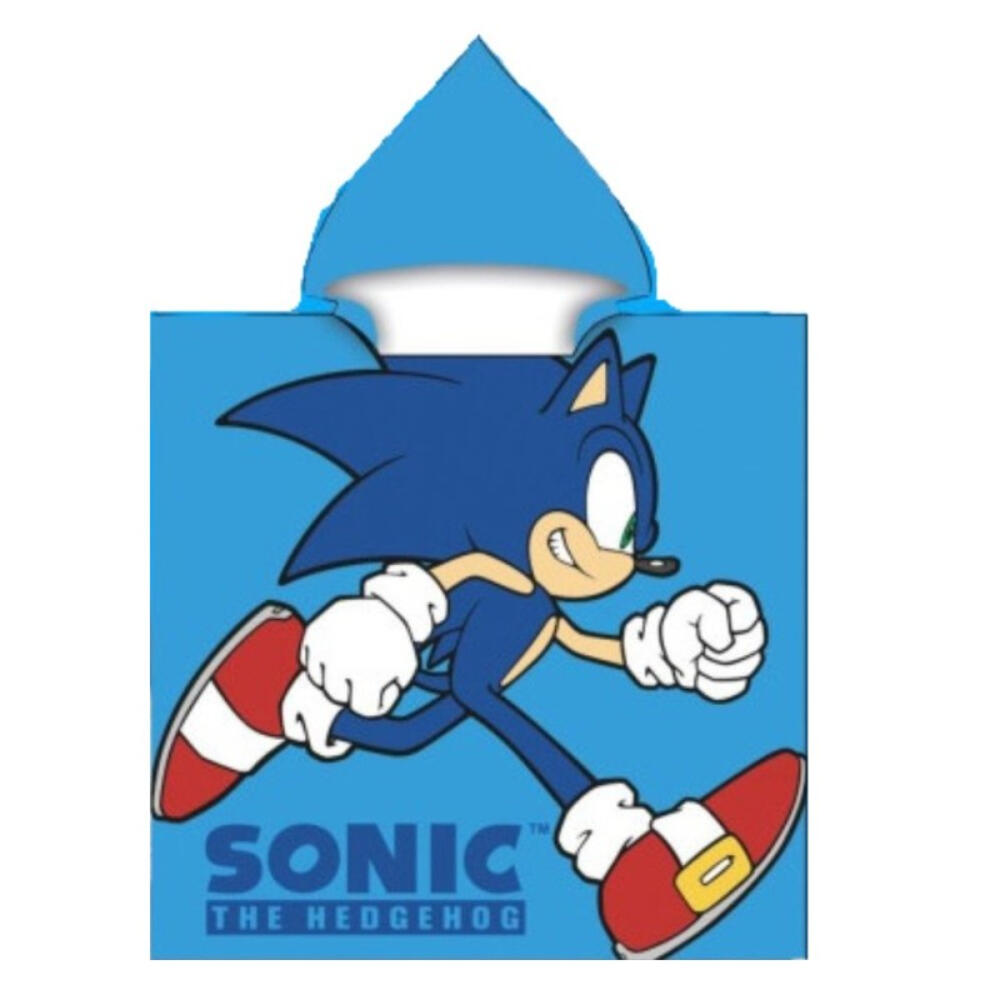 SONIC THE HEDGEHOG picture