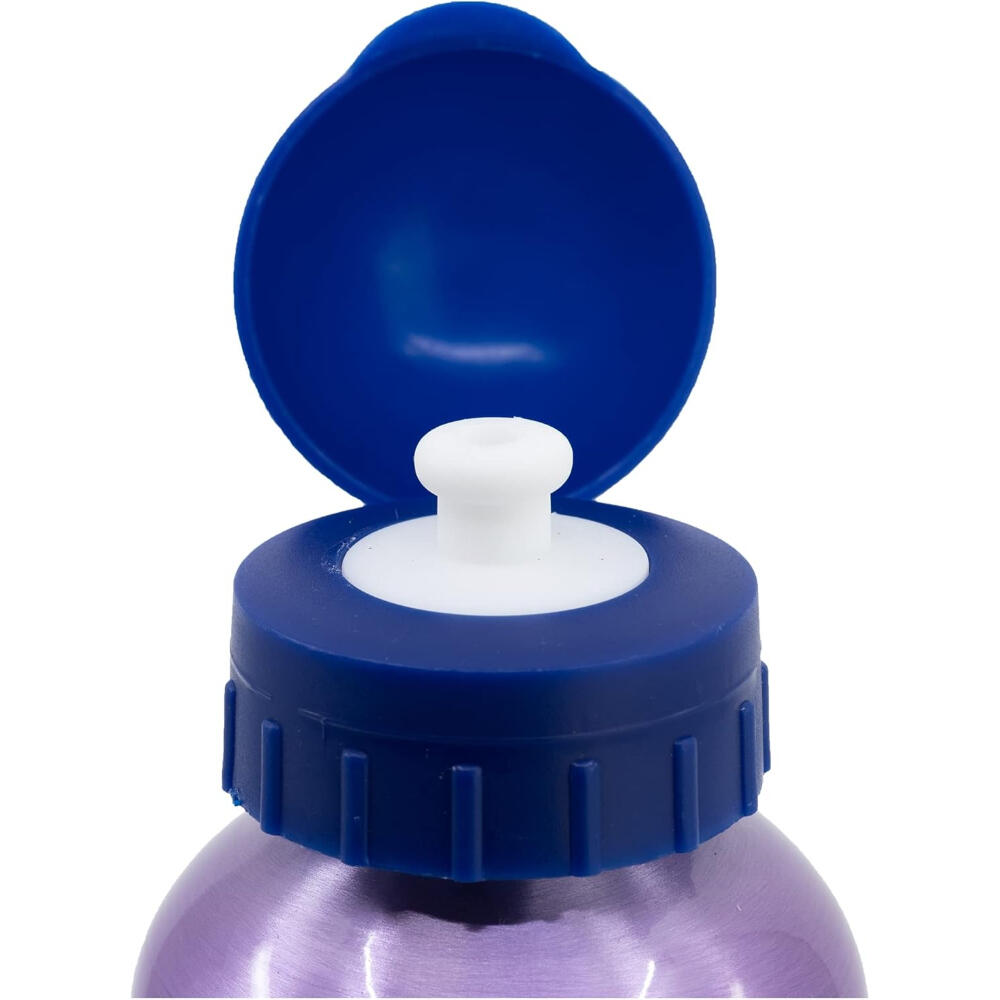 Botella Aluminio Alta 530 ML Frozen Trust The Journey 2/3