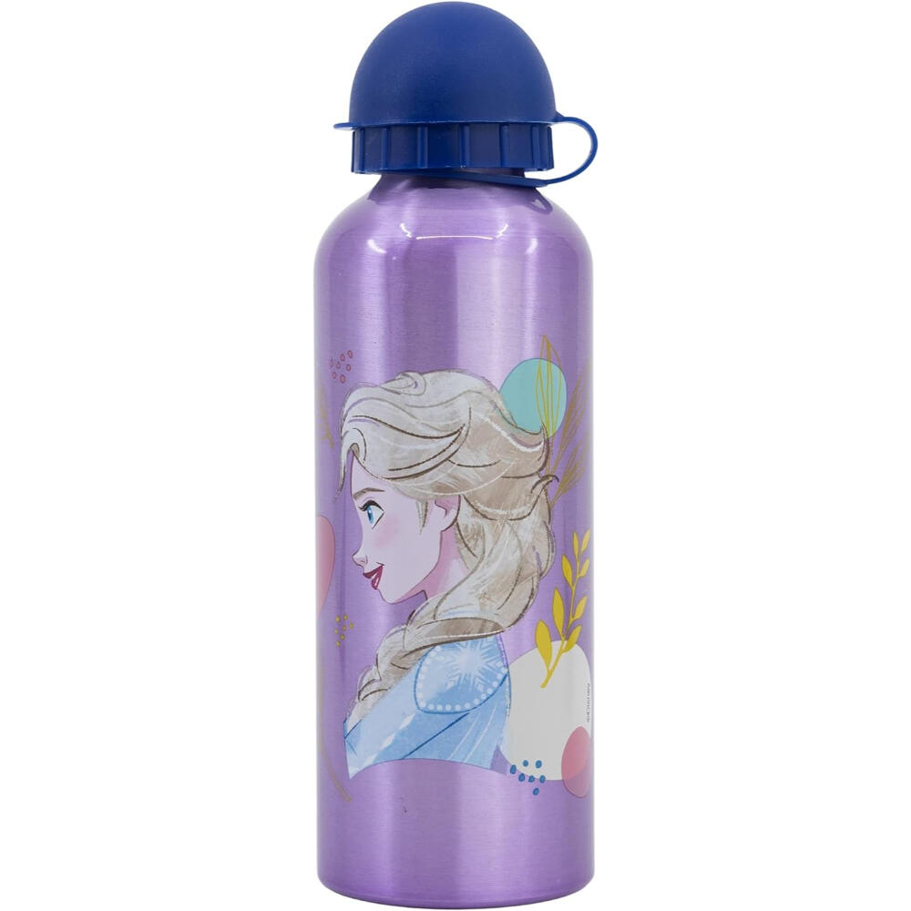 DISNEY FROZEN picture