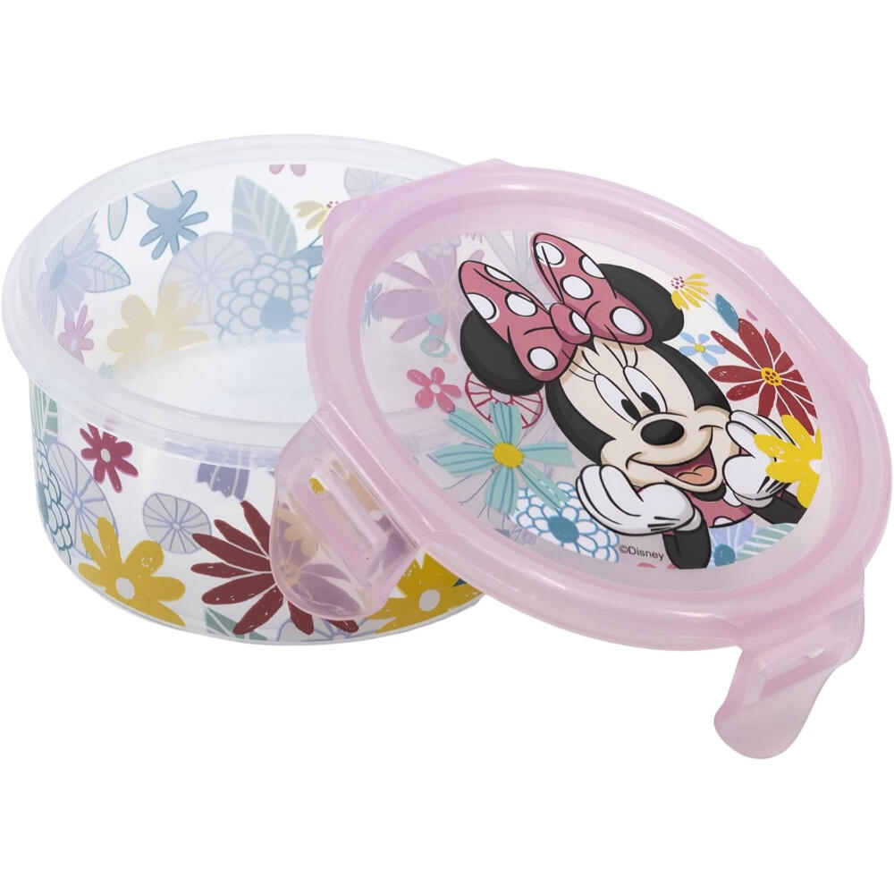 MINI MOUSE picture