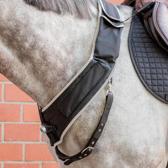 Collier de chasse pour cheval Kavalkade Horselight