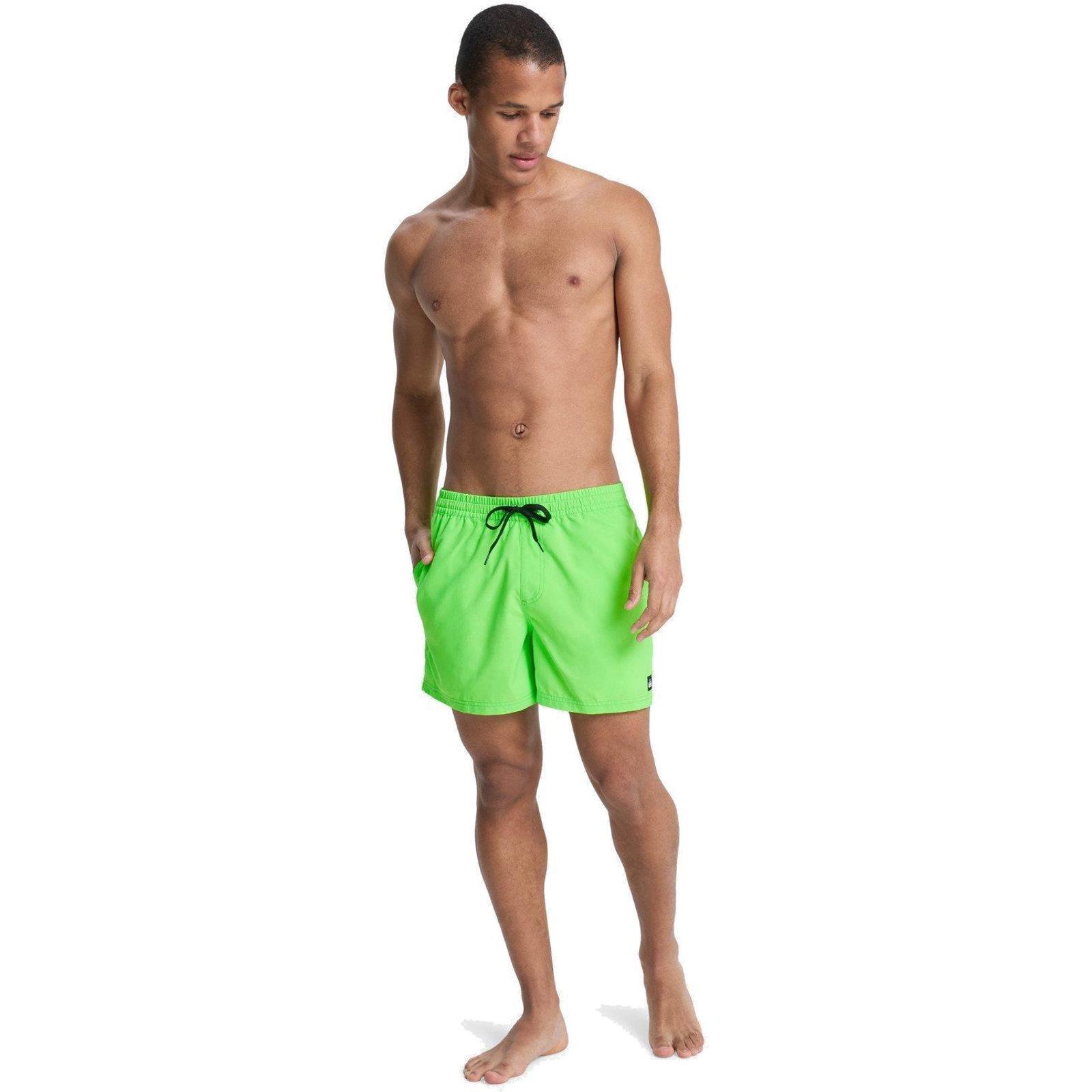 Quiksilver Everyday Solid 15" Swim Shorts-Green Gecko 6/7