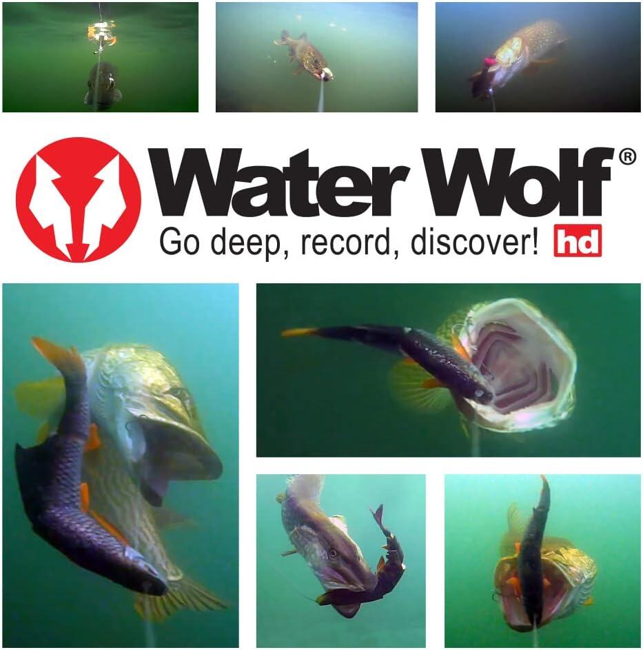 Waterwolf 2.0 1080K Onderwatercamera - Overige Karperspullen 4/7