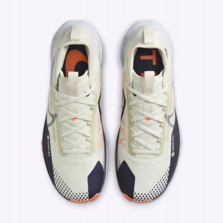 Heren Sportschoenen Nike Pegasus Trail 4 Gtx V2 6/7