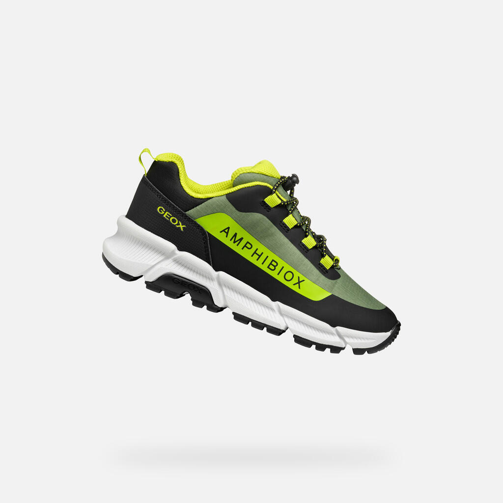 olive verte / olive