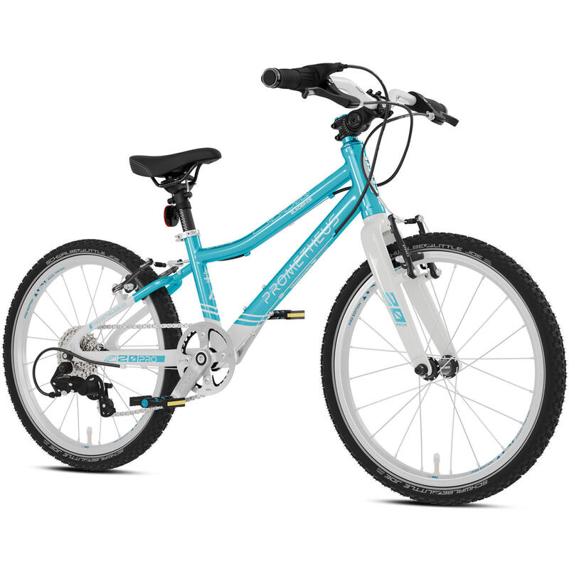 Vélo pour enfants 20 pouces dès 6 ans, super léger, 7 vitesses, Bleu et blanc