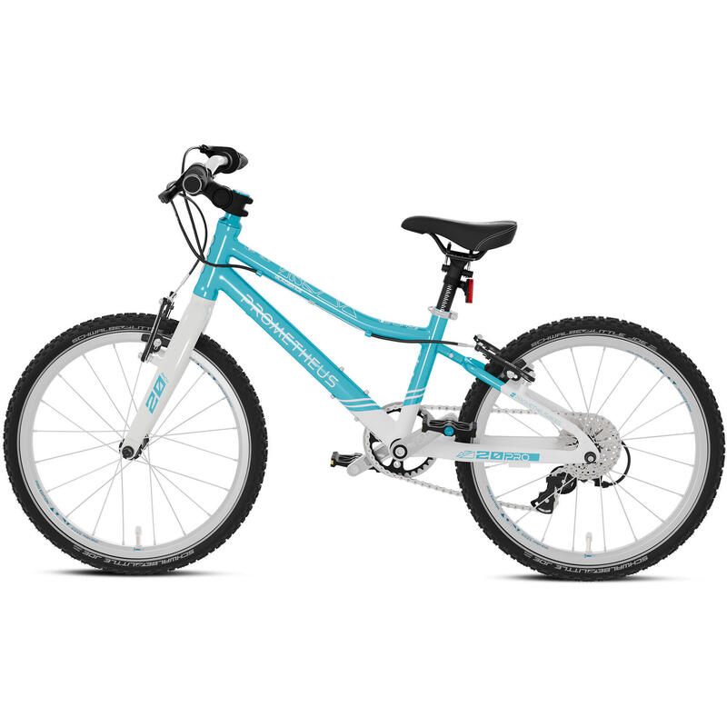Vélo pour enfants 20 pouces dès 6 ans, super léger, 7 vitesses, Bleu et blanc