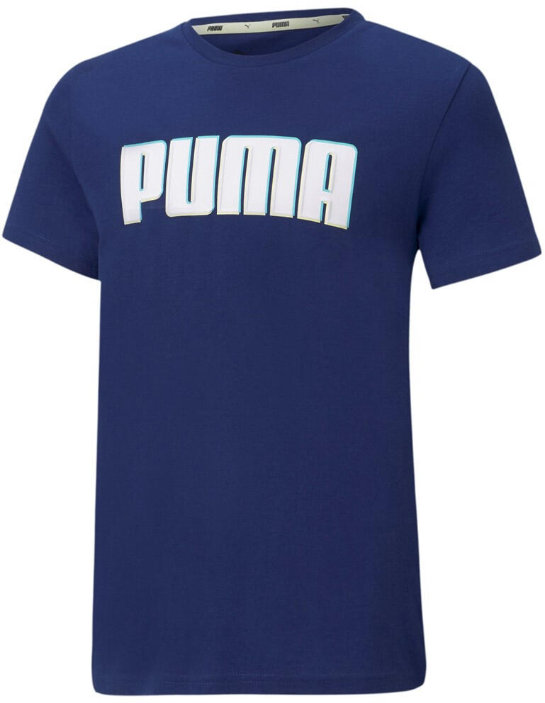 PUMA picture