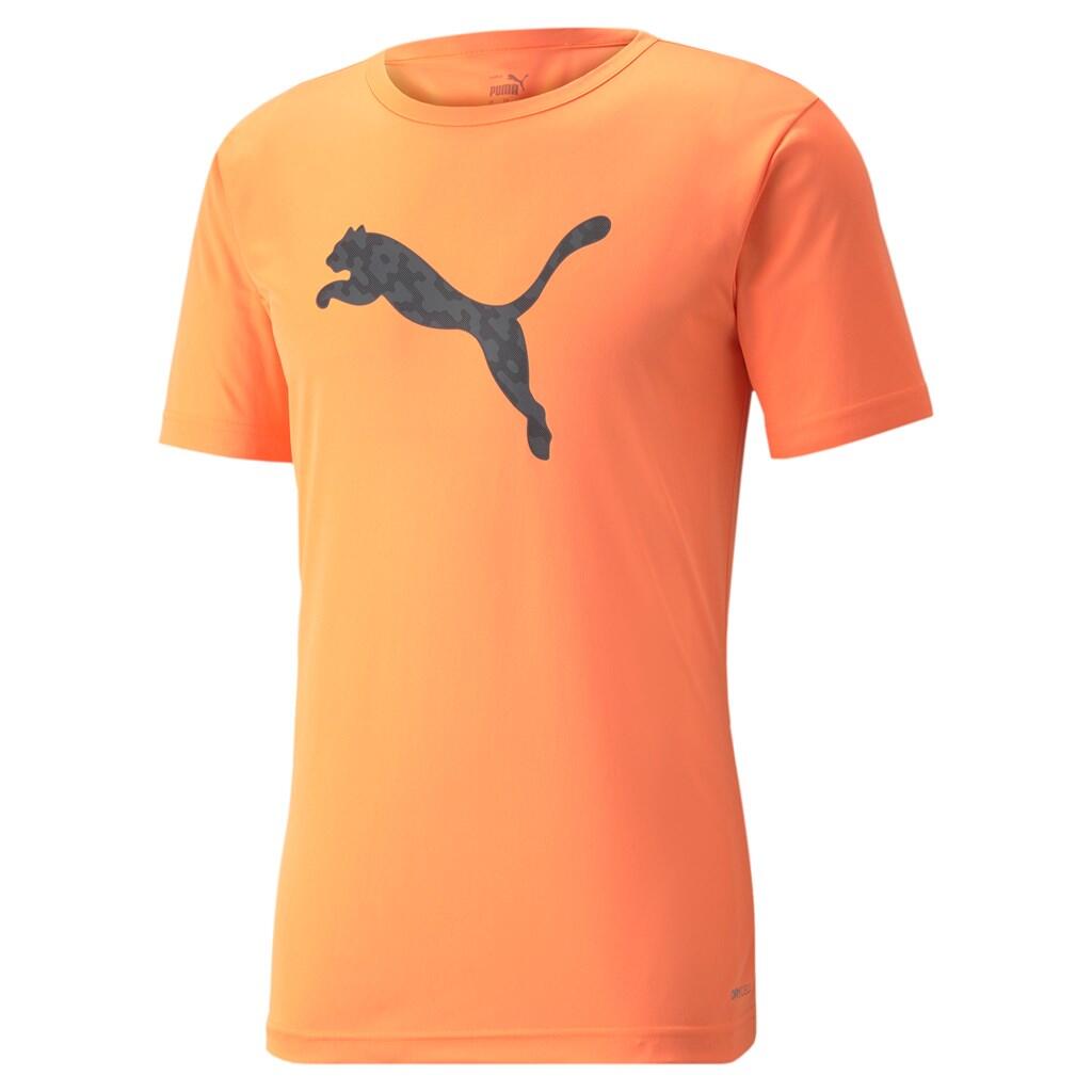 PUMA picture
