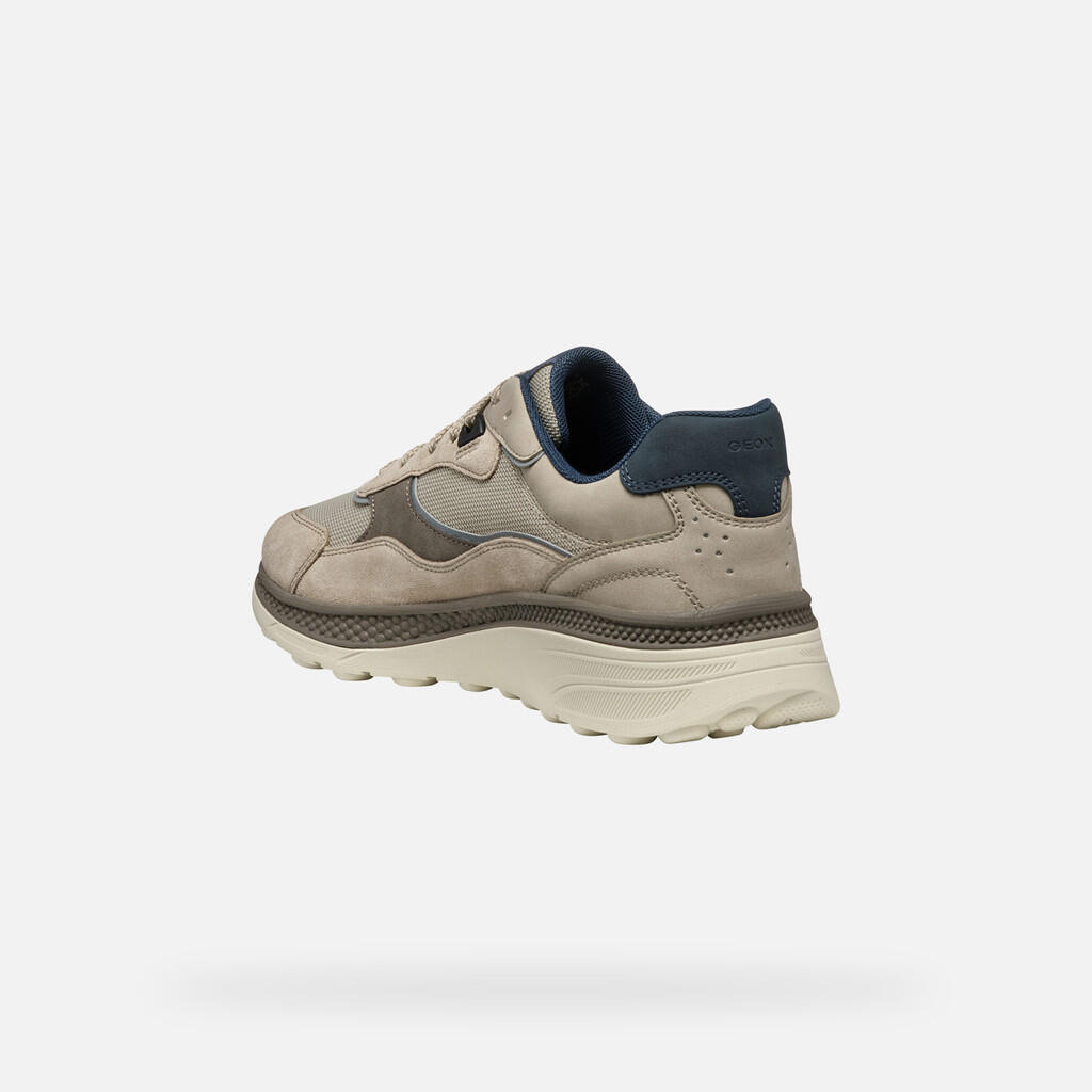 Baskets Homme U SPHERICA ACTIF X1 Beige 6/7