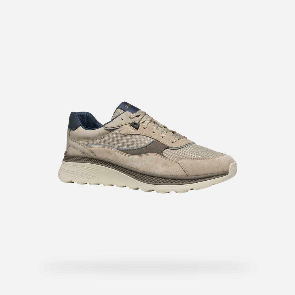 Baskets Homme U SPHERICA ACTIF X1 Beige 5/7