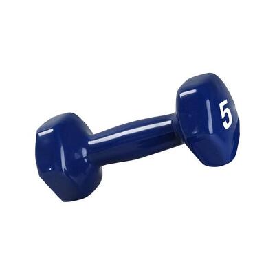 HANTEL VINYL 2.3kg