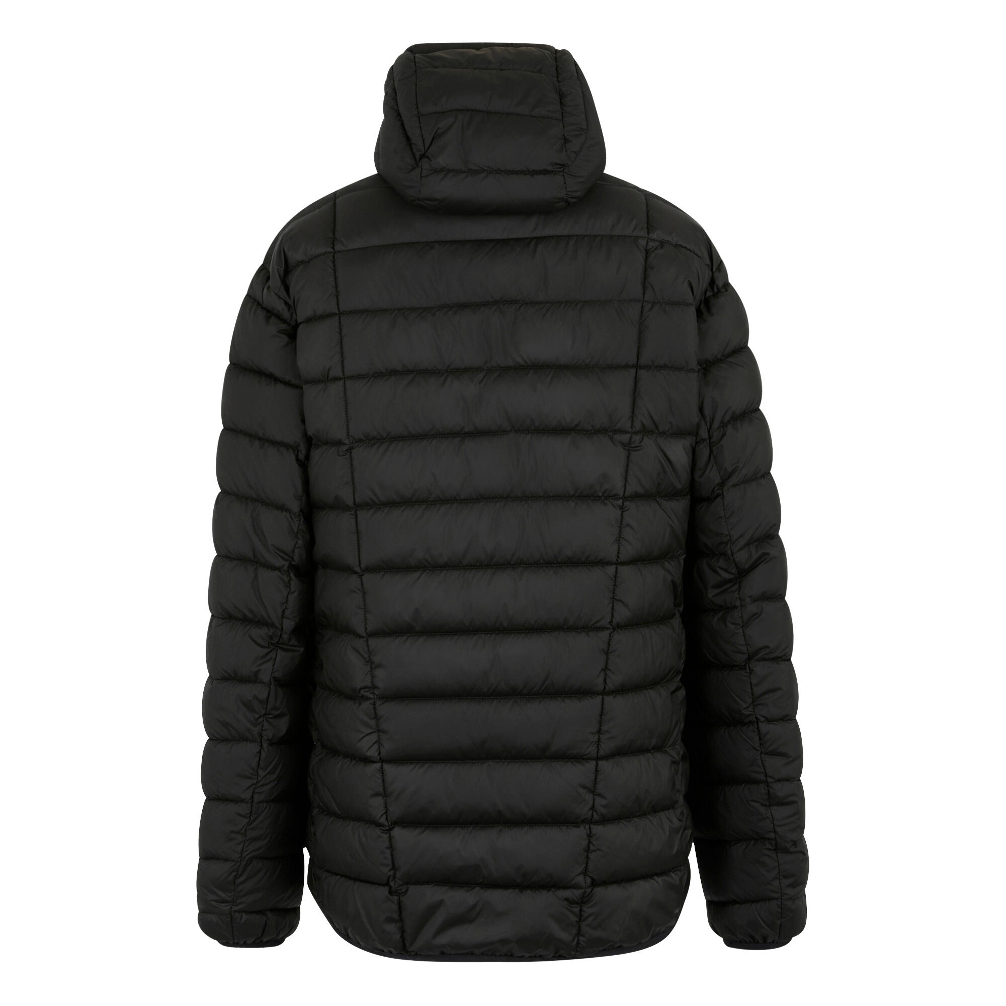 Veste Asper matelassée isolante pour homme 7/7