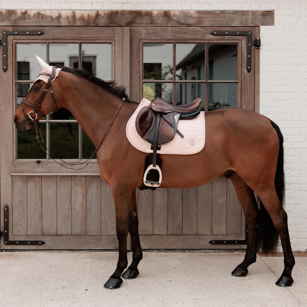 Glänzender Springreit-Tapete Kentucky Horsewear 4/7