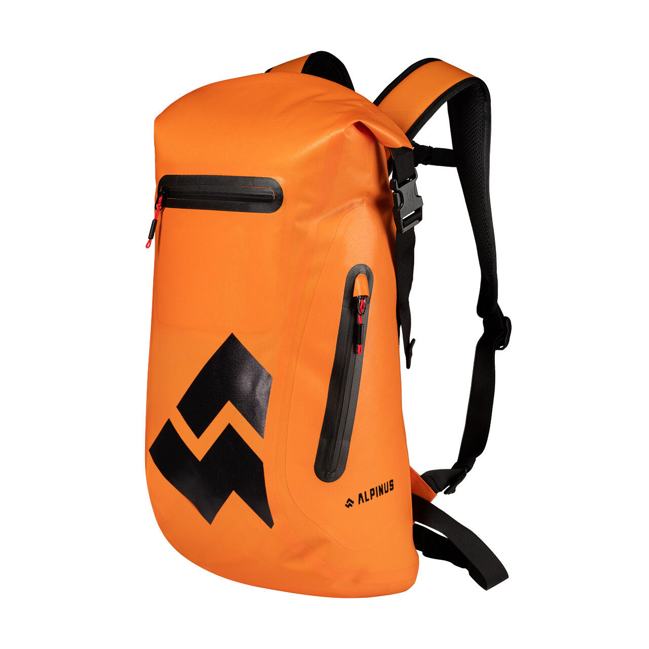 ALPINUS picture