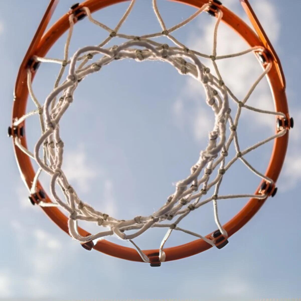 Tabela de basquete Houston - 225 - 305 cm 7/7