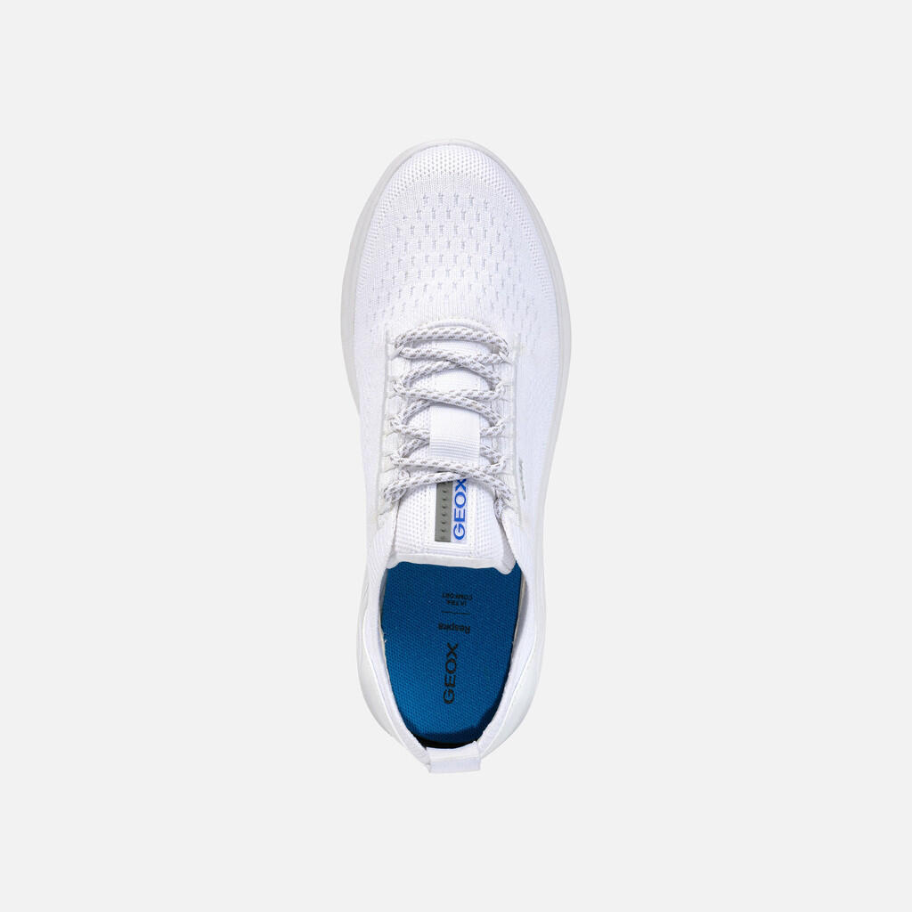 Baskets Femme Baskets Geox Blanc Blanc Geox 6/7