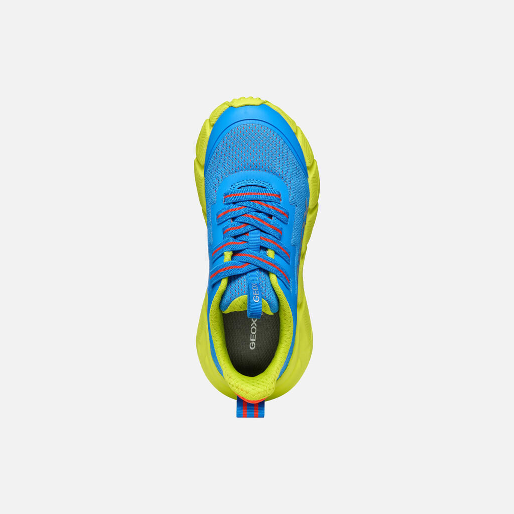 Zapatillas niño Geox J Flexyper Fast Boy Azul 7/7