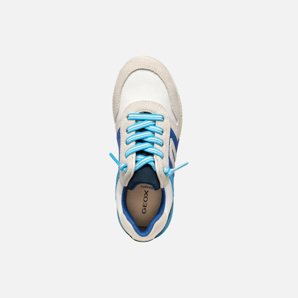 Baskets Garçon J ALBEN BOY Blanc/Bleu Roi 7/7