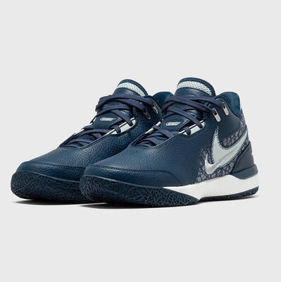 Heren basketbalschoenen nike zm lebron nxxt gen ampd