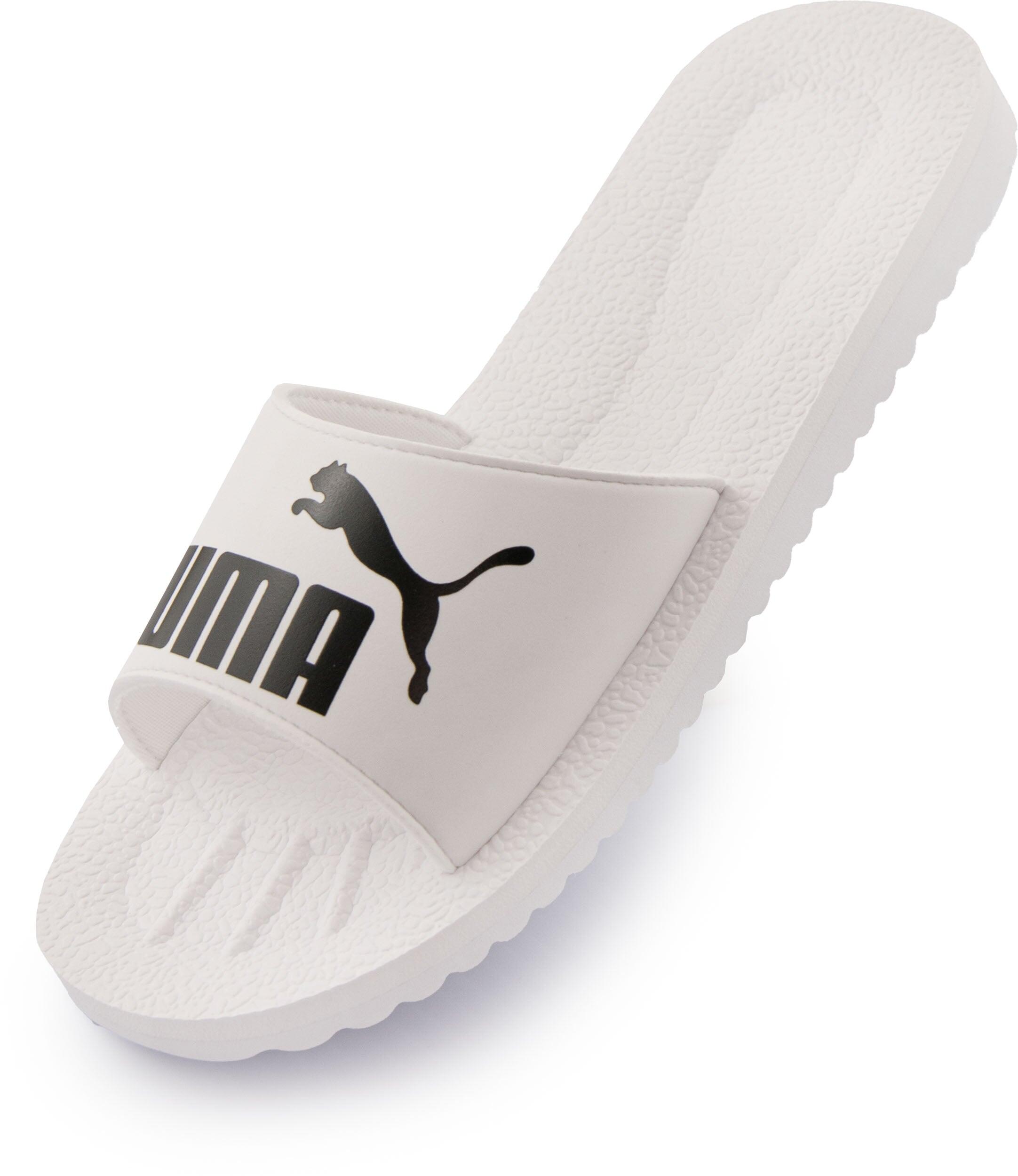 PUMA picture