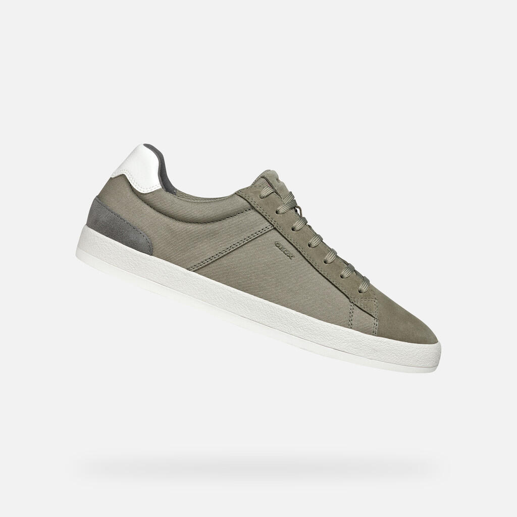 vert sauge / gris vert