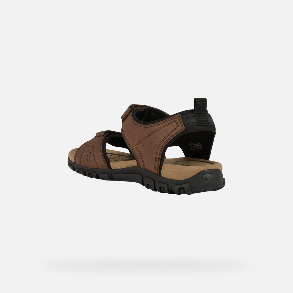 Sandales Homme STRADA MAN Marron Foncé 6/7