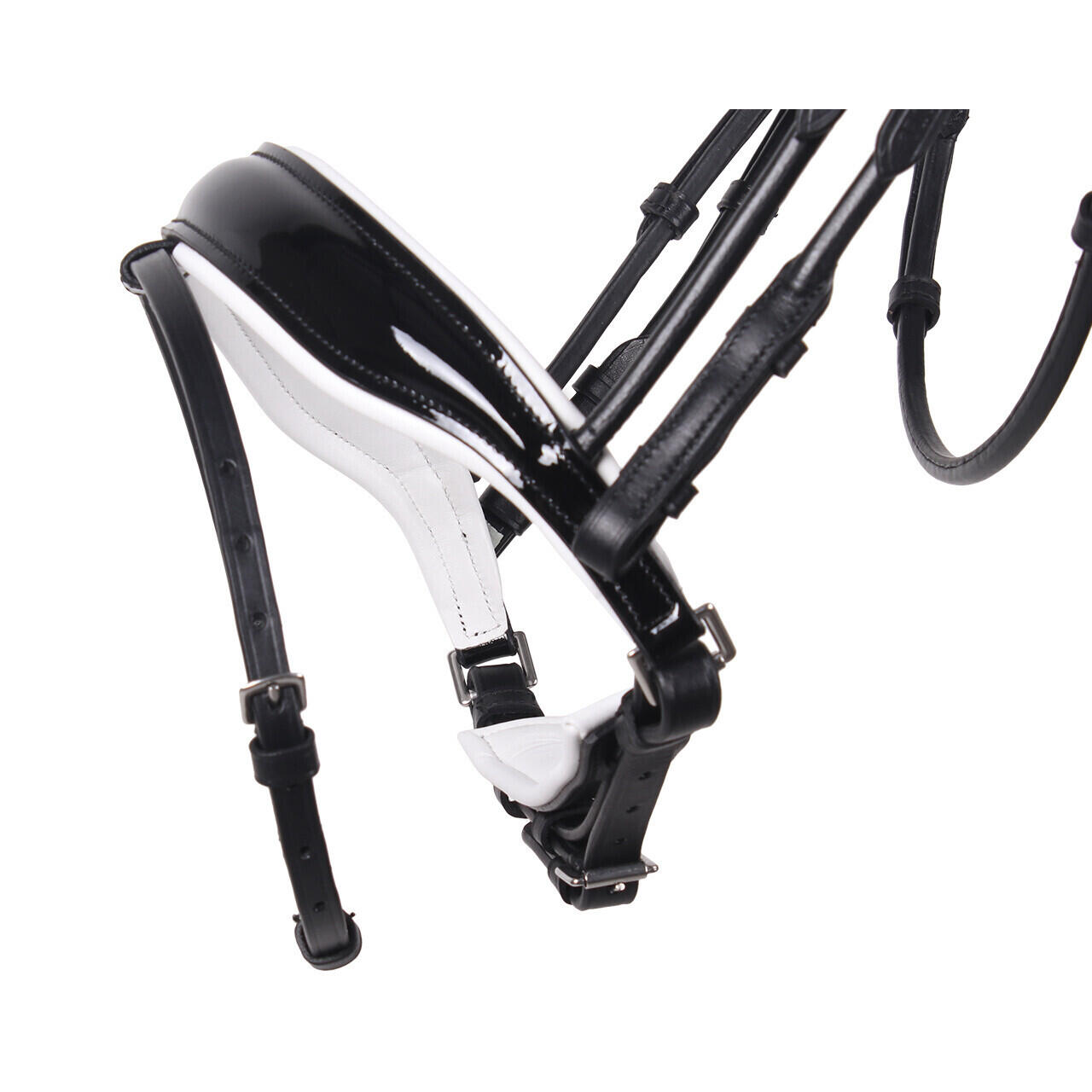 Trensen Reiten QHP Nehza 4/7