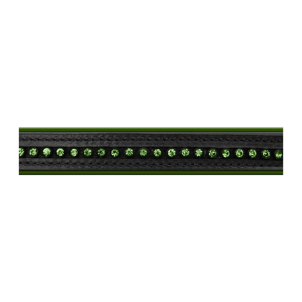 Combined noseband bridle Star Diamond