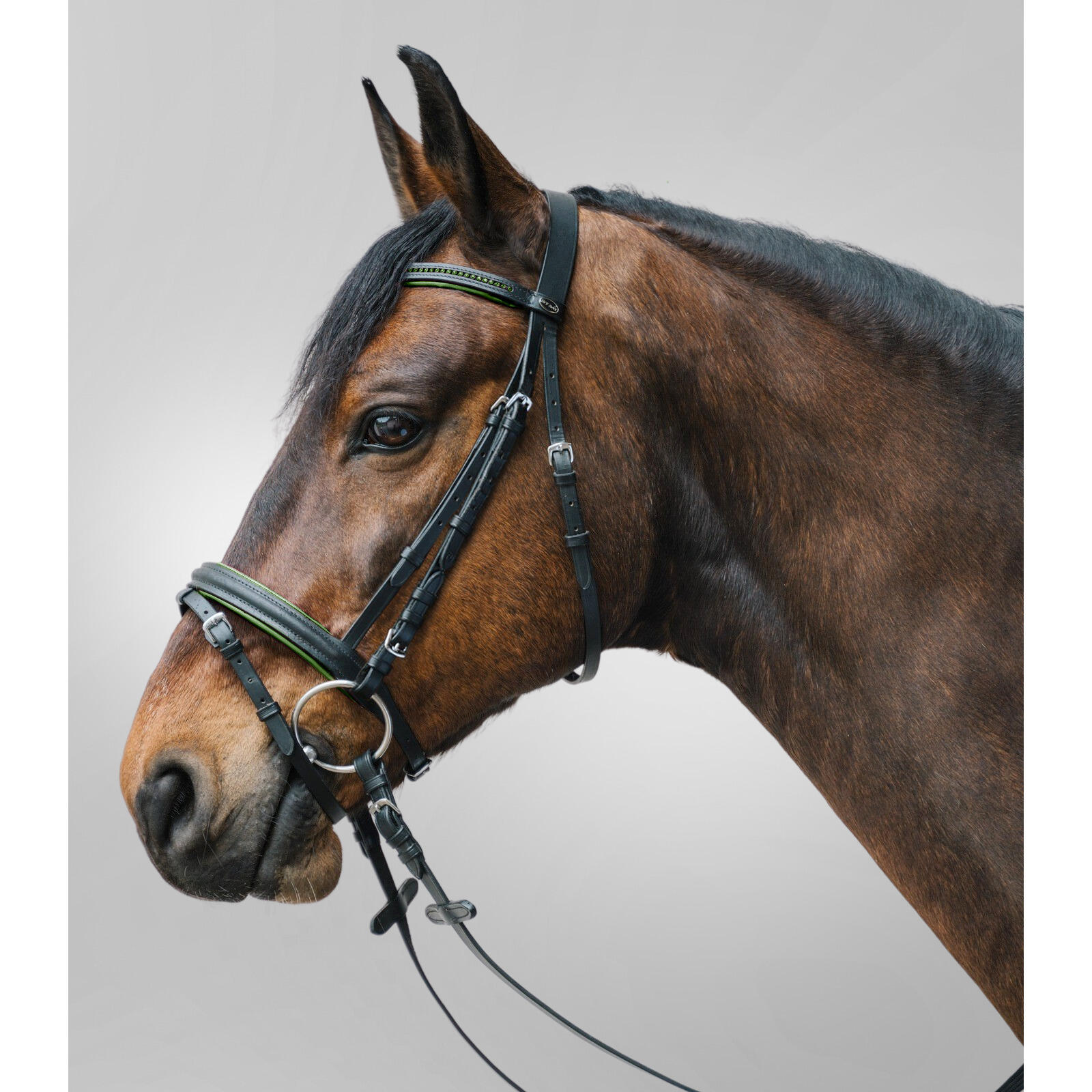 Combiné hoofdstel met neusriem Star Diamond 2/2