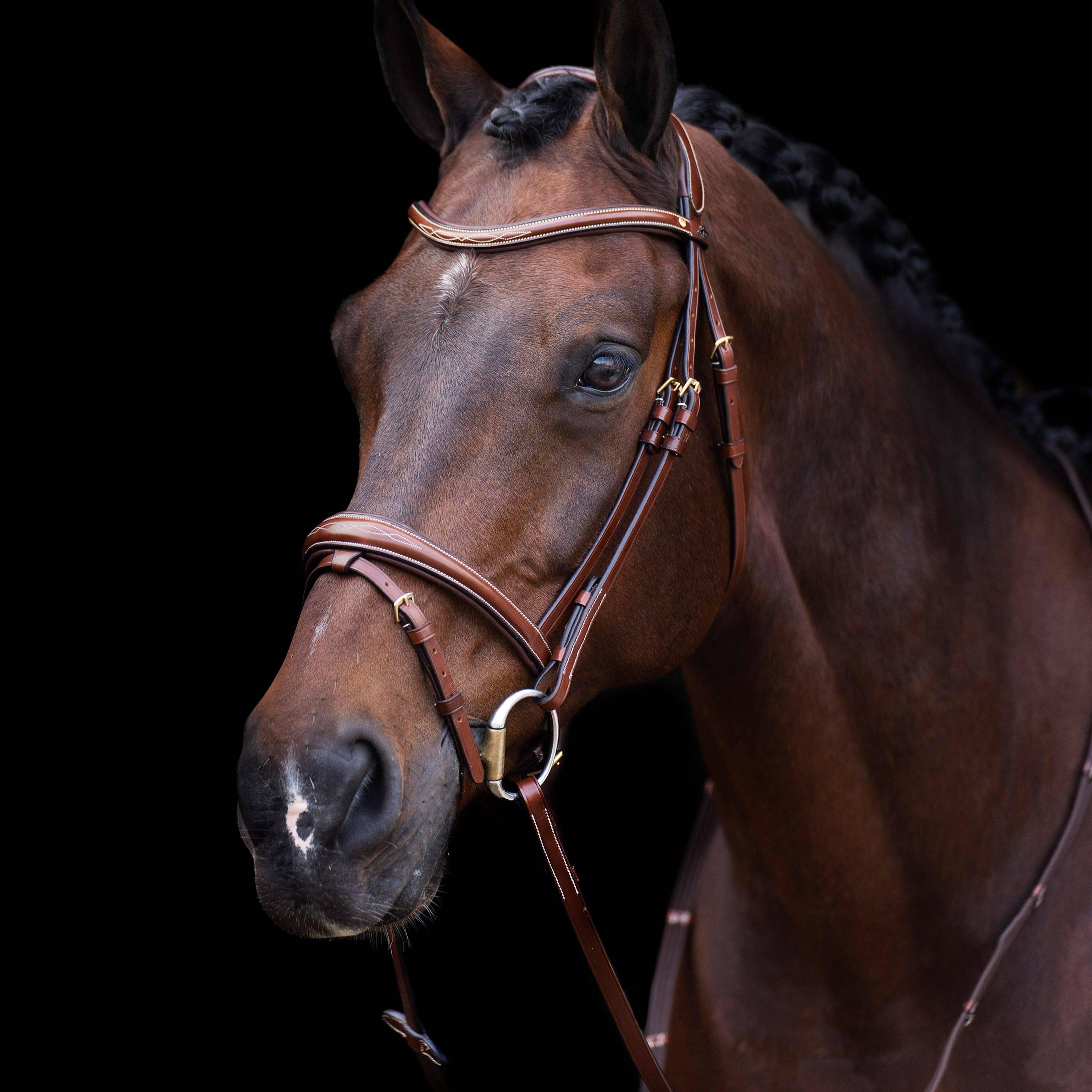 HV POLO picture