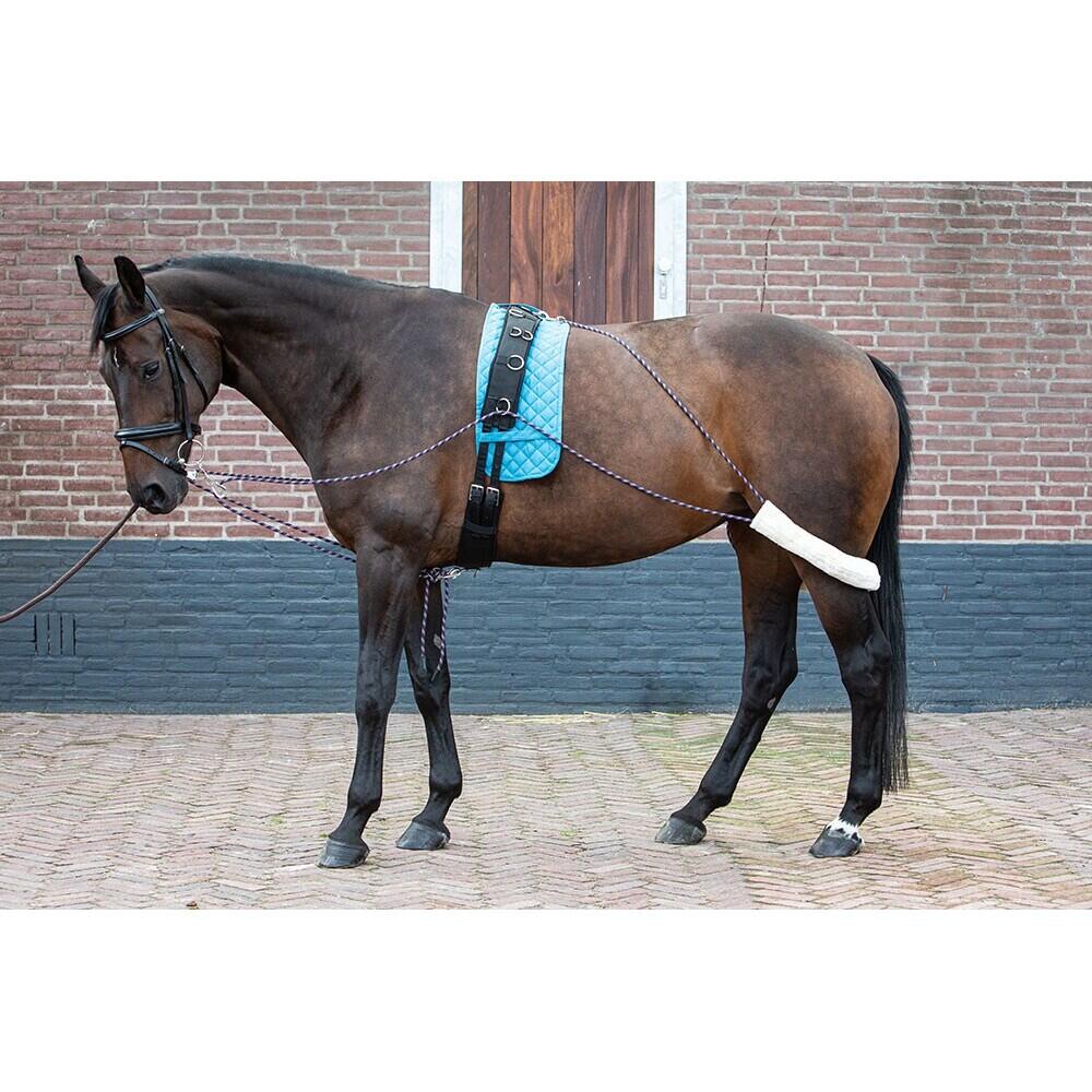 Pessoa-Grinder komplett Harry's Horse 2/2
