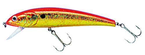 ABU GARCIA picture