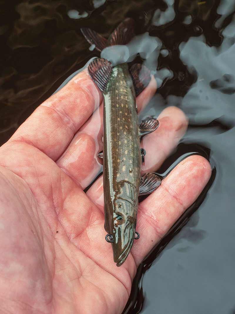 Fox Rage Ultra Natural Replicant Pike 10cm 17g 3/3