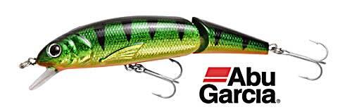 ABU GARCIA picture