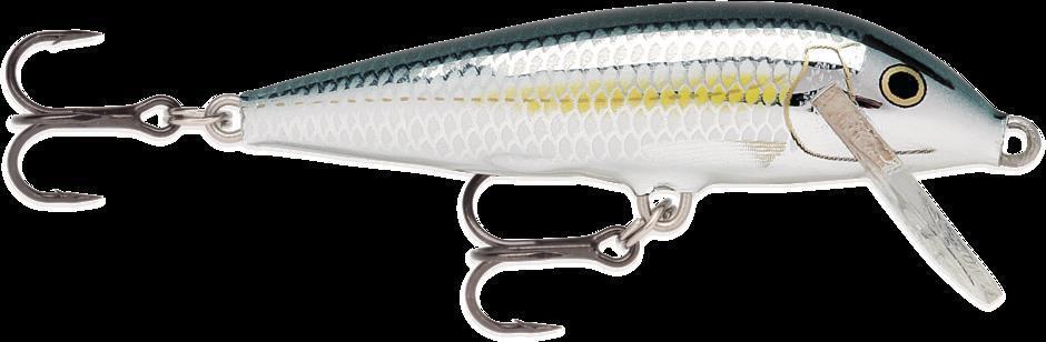 RAPALA picture
