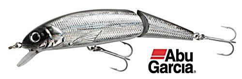 ABU GARCIA picture