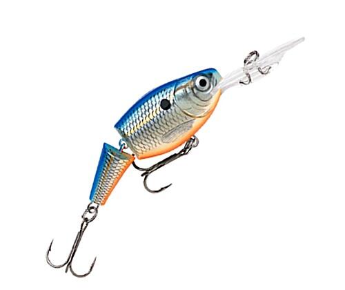 RAPALA picture