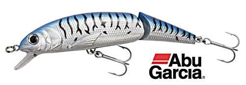 ABU GARCIA picture