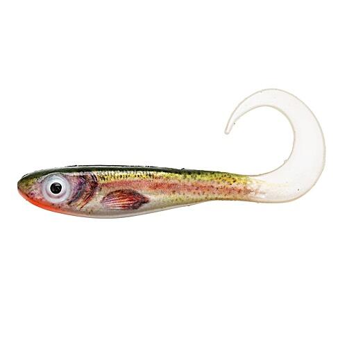 ABU GARCIA picture
