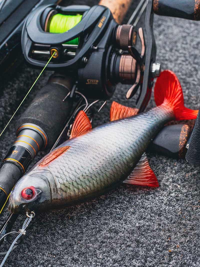 Fox Rage Ultra Natural Replicant Roach 18cm 83g 3/3