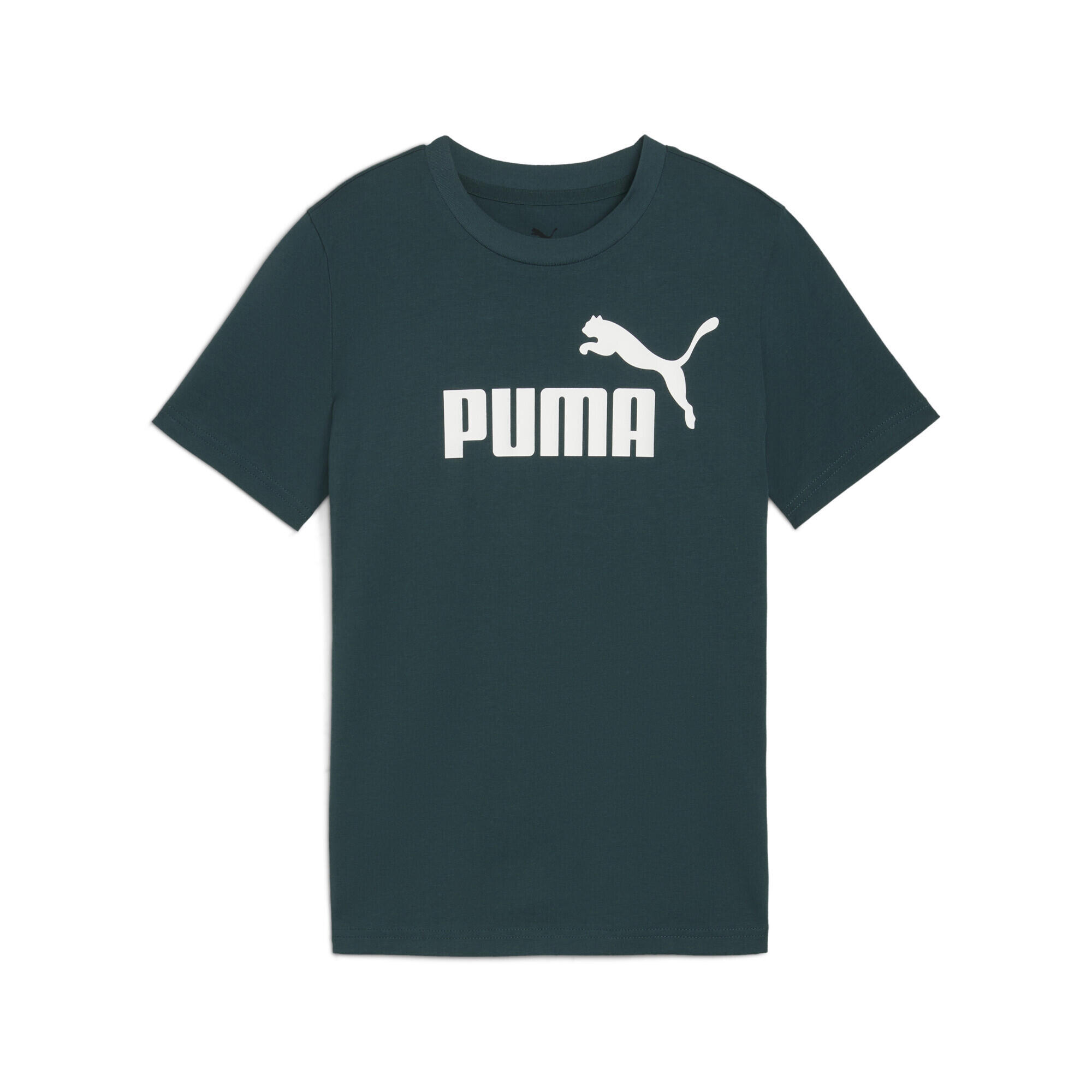 PUMA picture