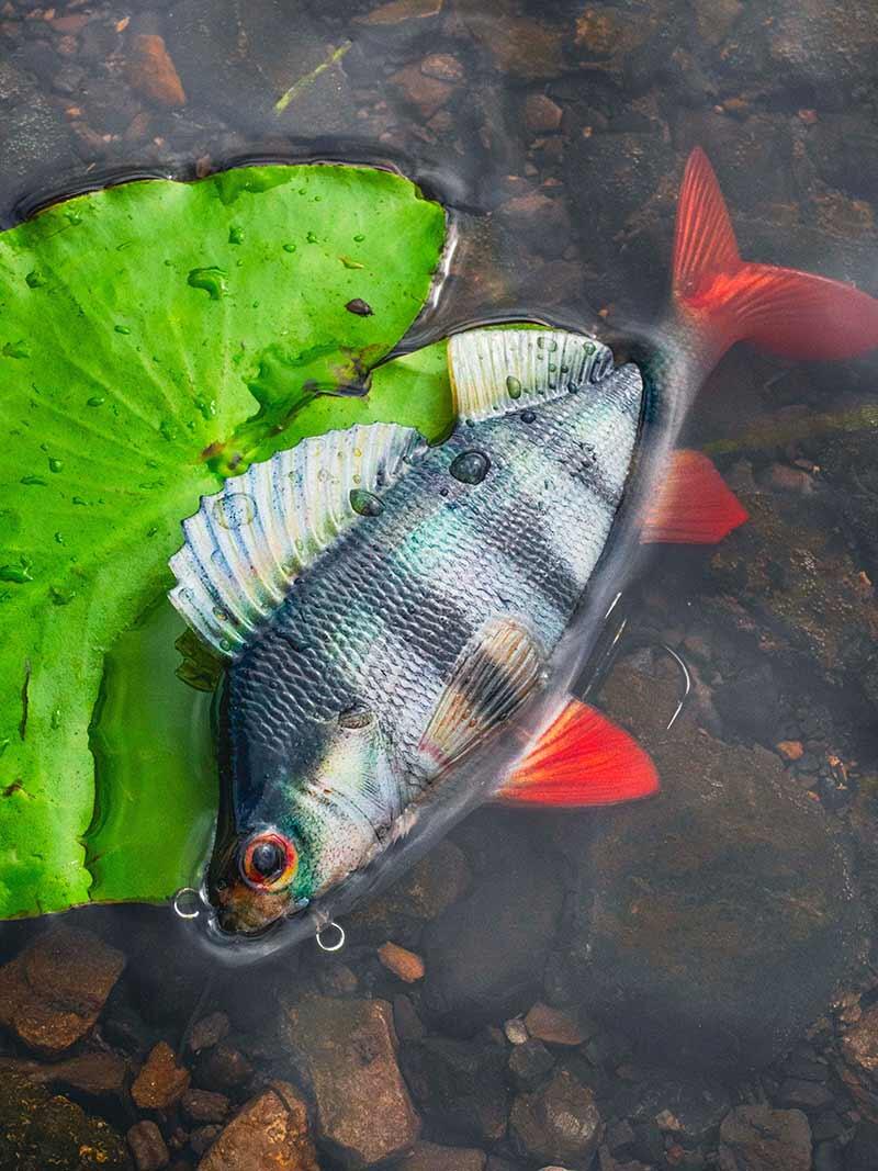 Fox Rage Replicant Ultra-Realistic Perch - Leurre souple 14 cm, 52 g 3/3