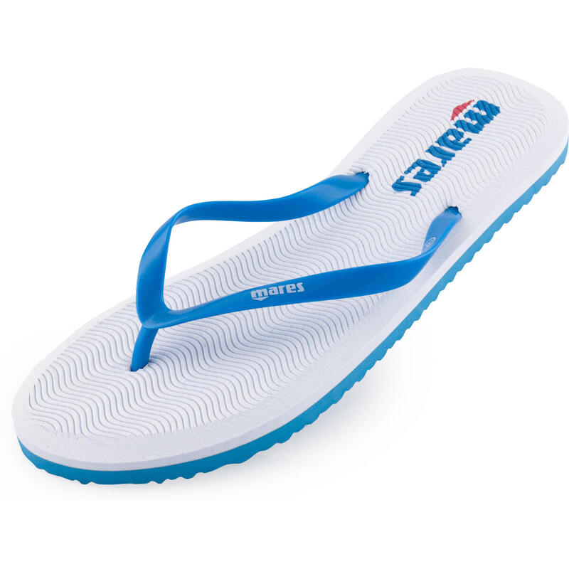 9fc595fd-f6d2-4e48-8d5c-a8a393ccc667_c6c227c67